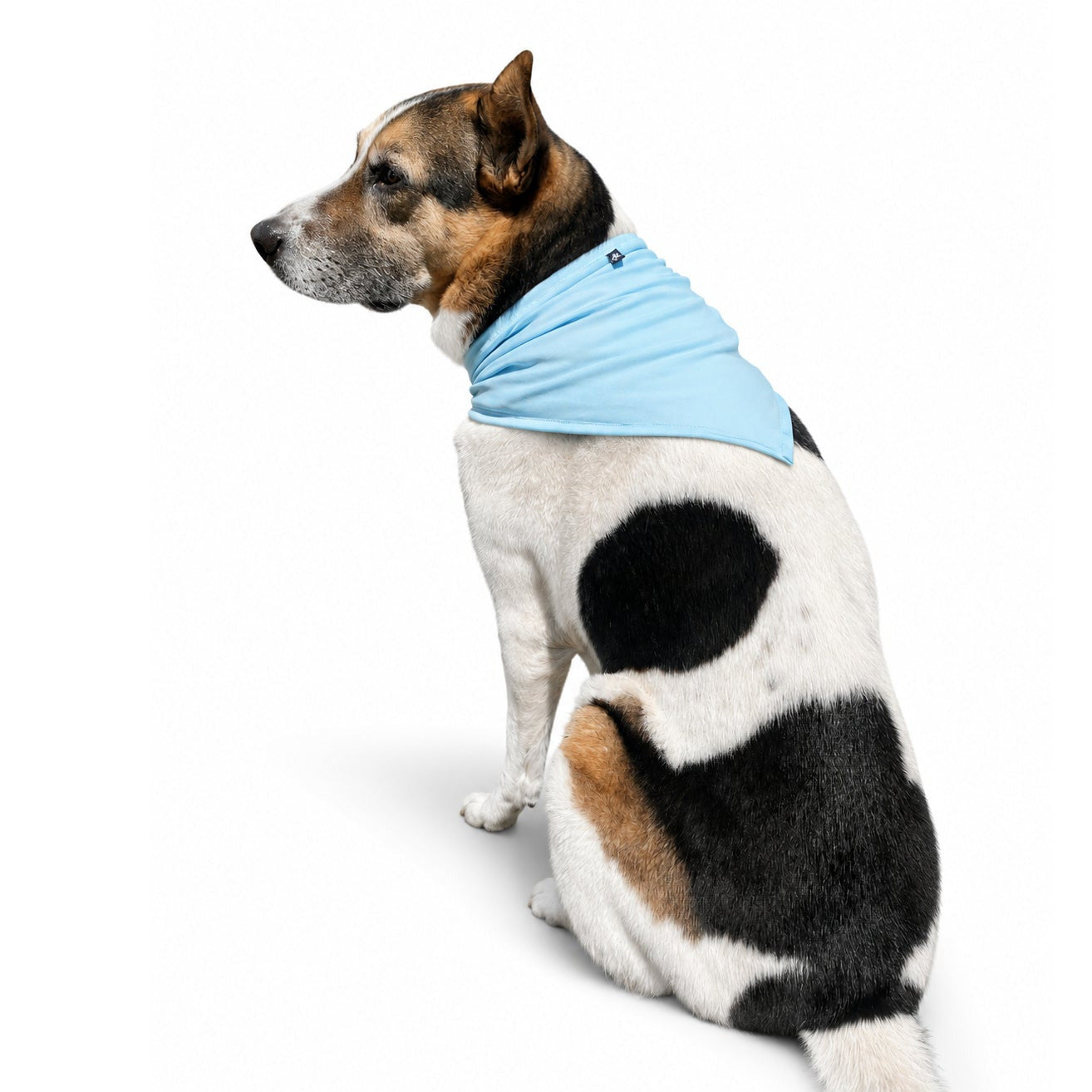 Cooling Bandana