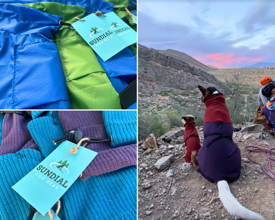 How to Choose a Dog Jacket: 7 Things That Actually Matter