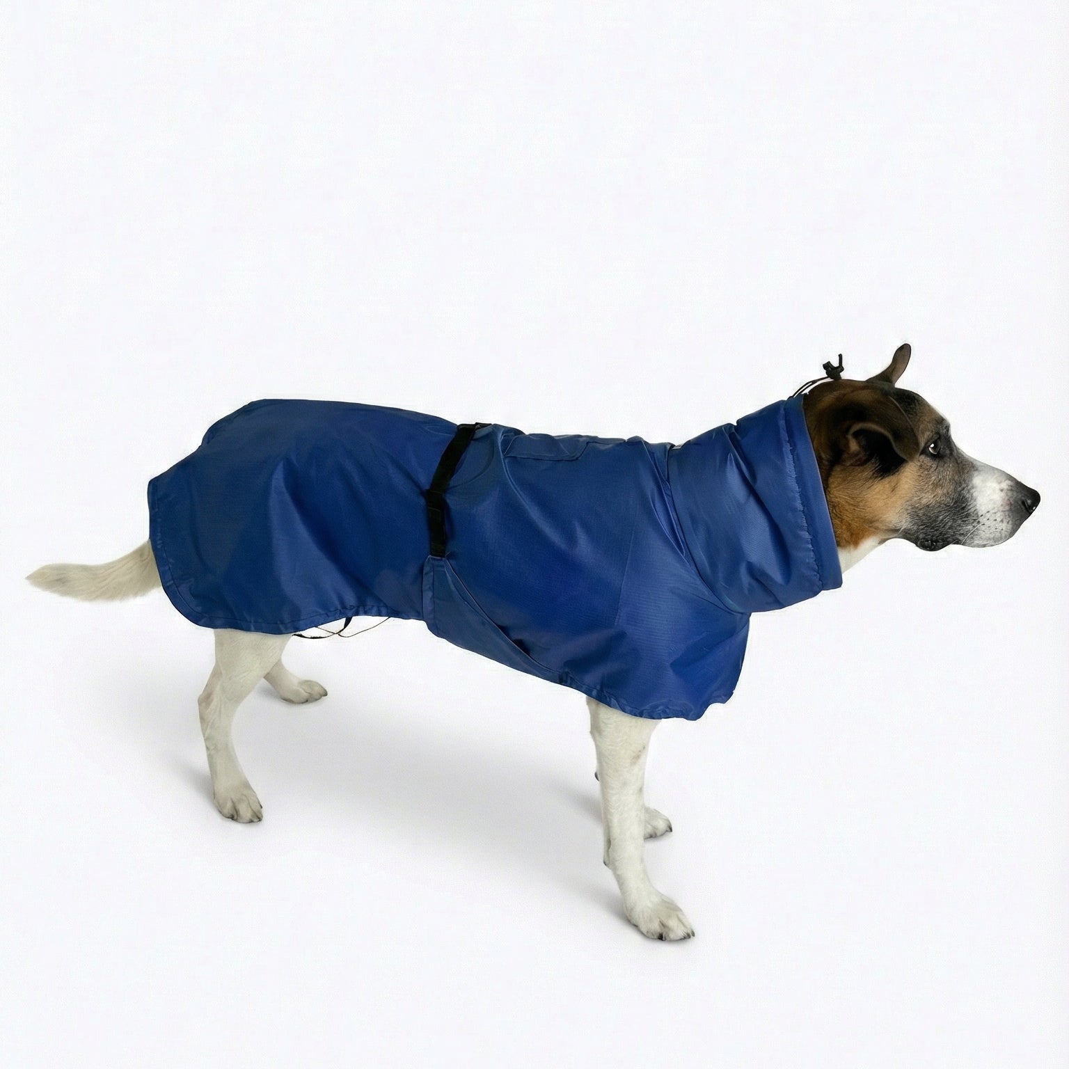 dog gear softshell top Traverse Shell | Ultralight Dog Shell