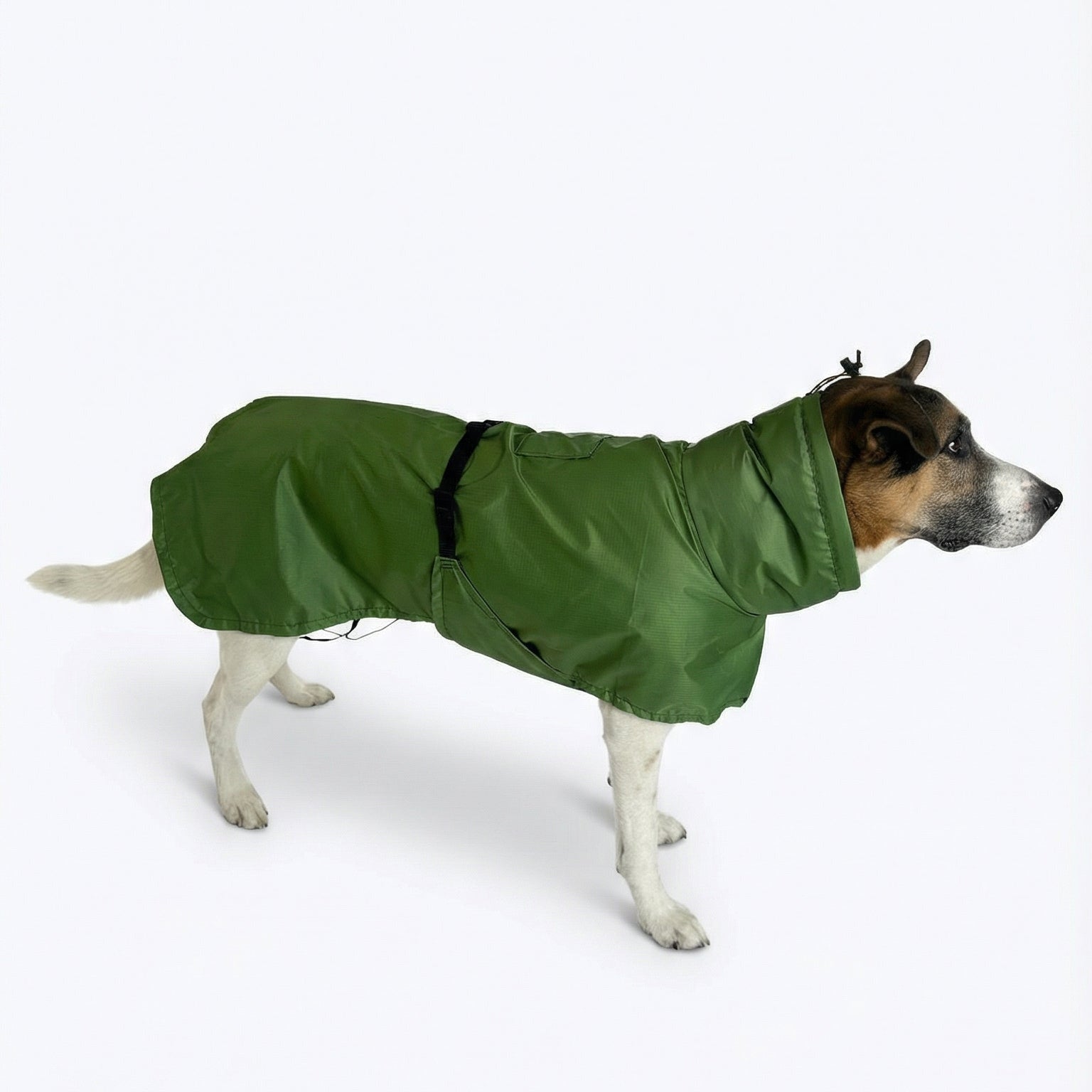 dog gear hundemantel Traverse Shell