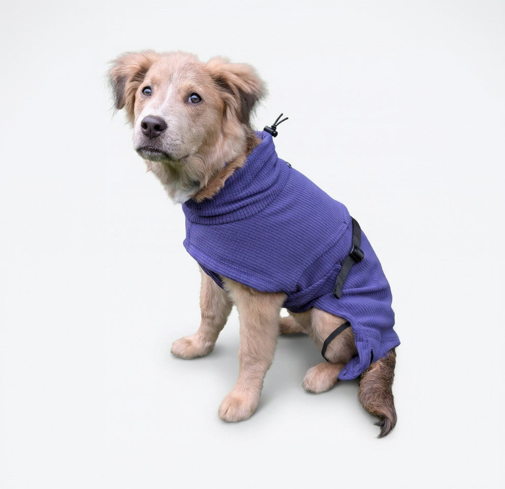 dog gear fleece top Traverse Fleece