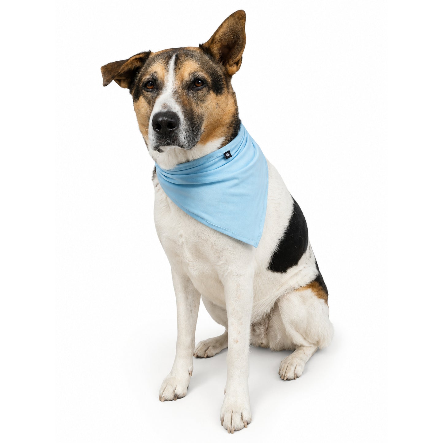 Cooling Bandana