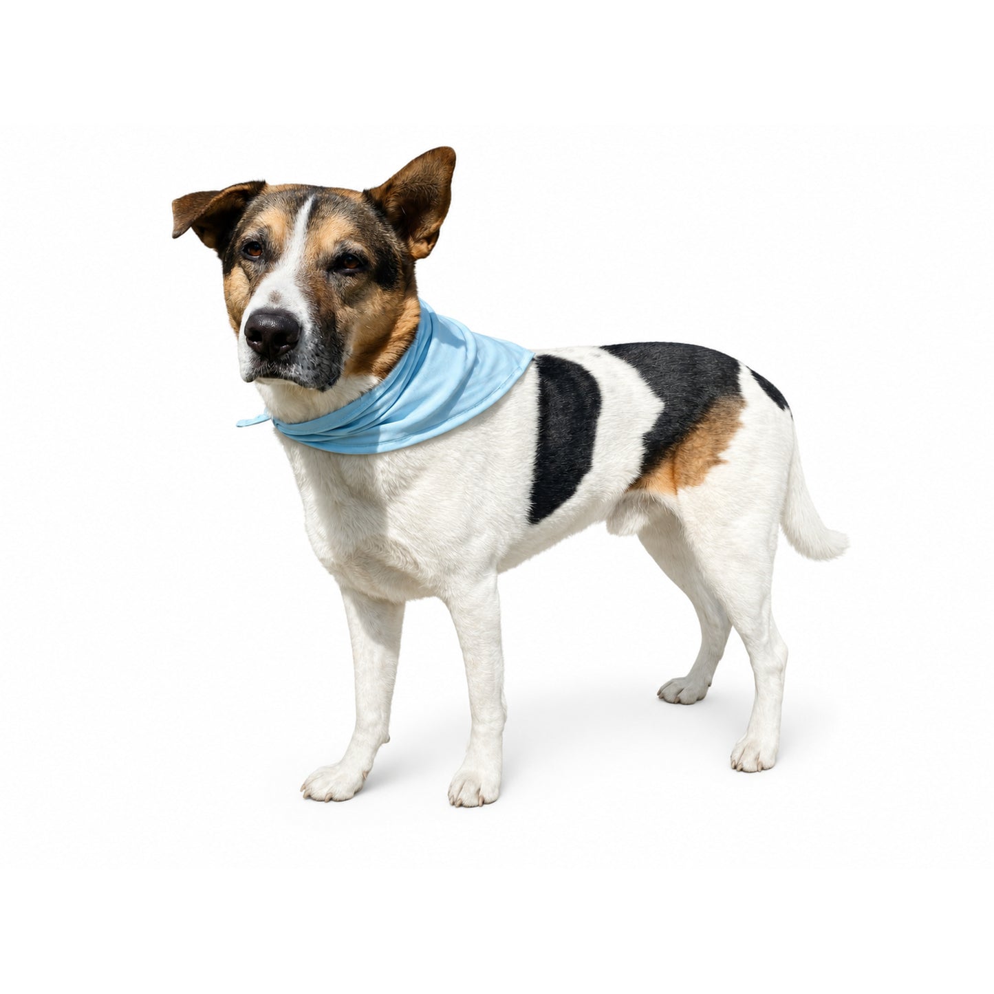Cooling Bandana