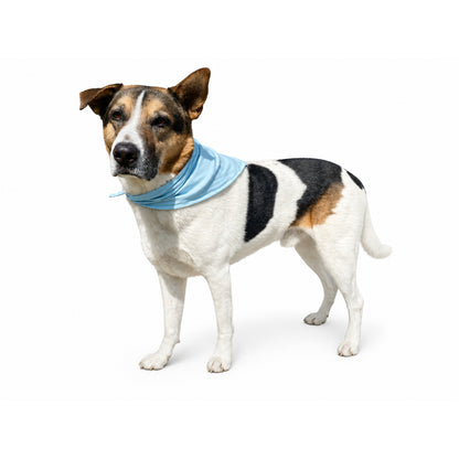 Cooling Bandana