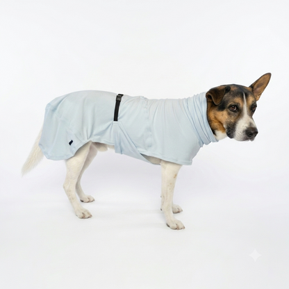 A dog wearing a light blue dog coat or sweater, standing in profile against a clean white studio background.